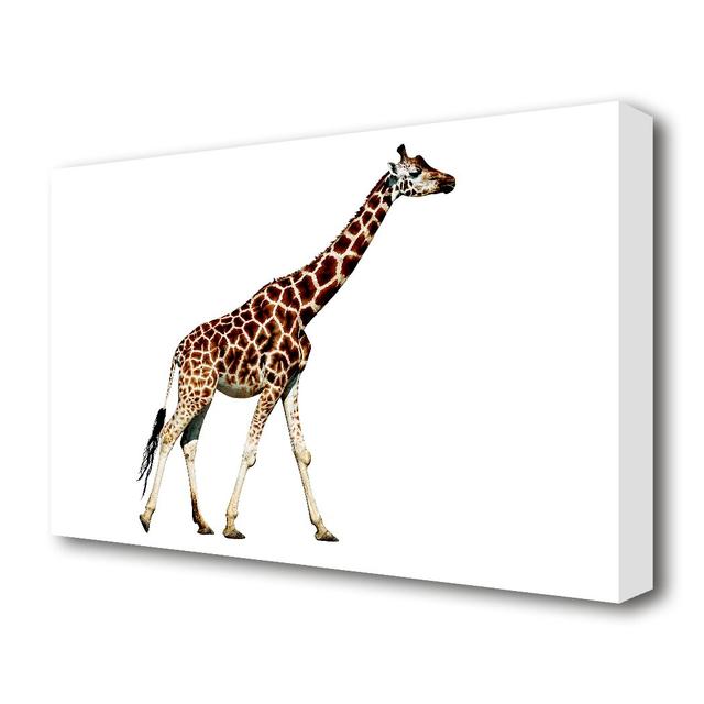 Giraffe Walk Wildlife - Wrapped Canvas Photograph Print East Urban Home Size: 101.6 cm H x 142.2 cm W on Productcaster.