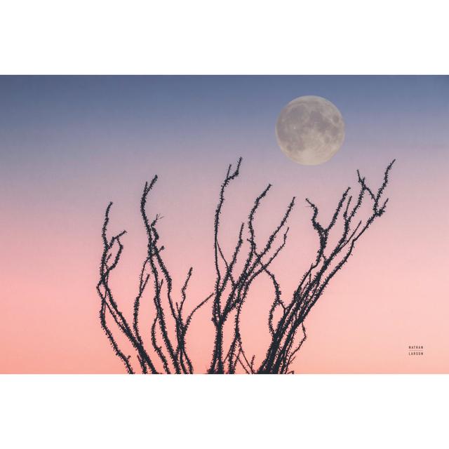 Reaching up Moon by Nathan Larson - Wrapped Canvas Graphic Art Marlow Home Co. Size: 20cm H x 30cm W x 3.8cm D on Productcaster.