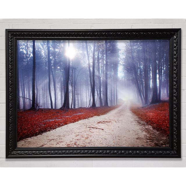 Sun Blaze Through The Mist - Print Union Rustic Size: 21cm H x 29.7cm W on Productcaster.