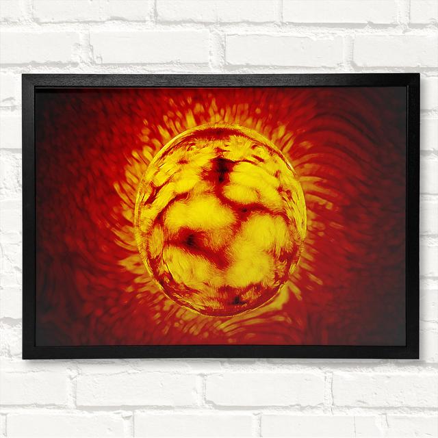 Sun Worshiper Framed Print Ivy Bronx Size: 21cm H x 29.7cm W on Productcaster.