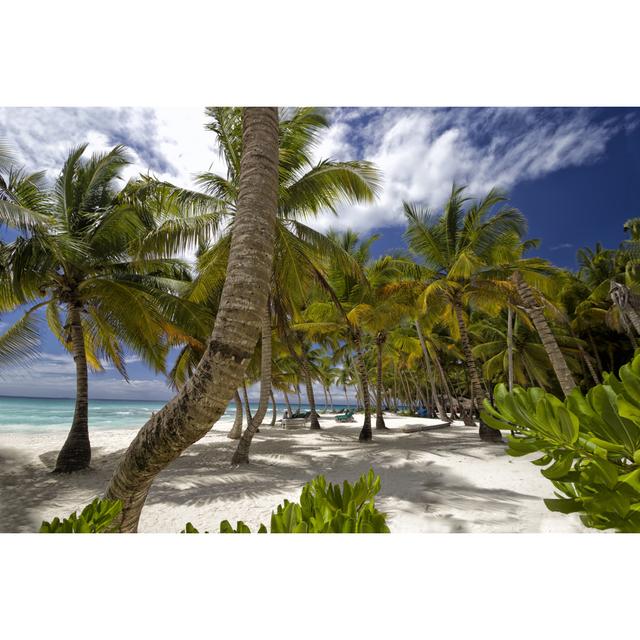 Beautiful Caribbean Beach by Carpe89 - No Frame Art Prints on Canvas 17 Stories Size: 20cm H x 30cm W on Productcaster.