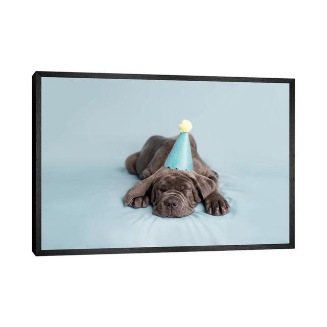 Chica by Rachael Hale - Photograph Print on Canvas Ebern Designs Size: 45.72cm H x 66.04cm W x 3.81cm D, Format: Black Framed on Productcaster.