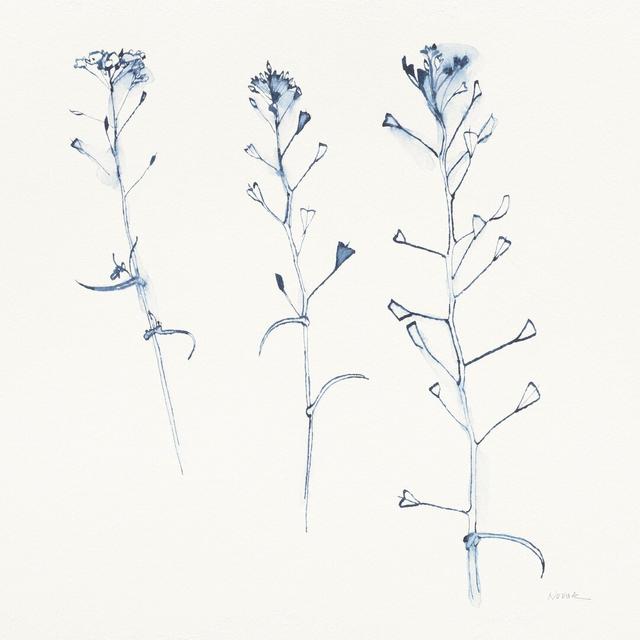 Shepherds Purse Stems I Blue by Shirley Novak - Wrapped Canvas Graphic Art Rosalind Wheeler Size: 91cm H x 91cm W on Productcaster.