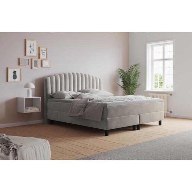 Echtes Boxspringbett Adinath mit Kaltschaum Topper, mit Samtstoff bezogen Canora Grey Größe: 210 x 200 cm, Matratzenhärte: H2 - bis zu ca. 75 kg / H4 on Productcaster.