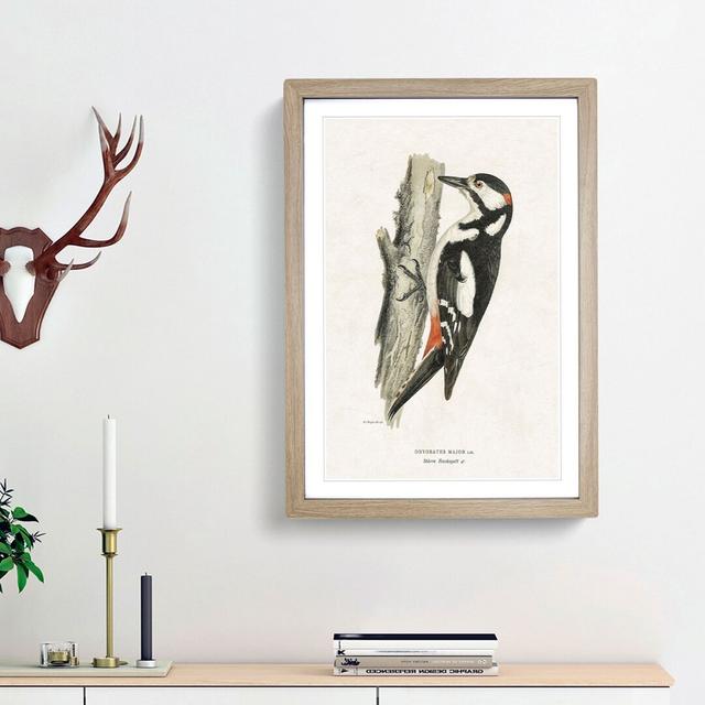 The Great Spotted Woodpecker by Von Wright - Picture Frame Painting Print East Urban Home Frame Option: Oak Framed, Size: 48cm H x 36cm W x 2cm D on Productcaster.