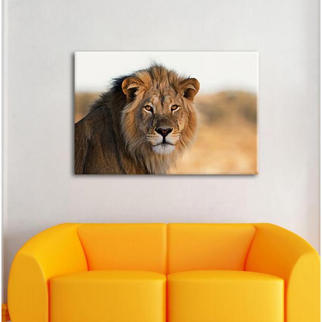 Leinwandbild Portrait of a Lion in the Savannah World Menagerie Maße: 60 cm H x 80 cm B x 1,8 cm T on Productcaster.