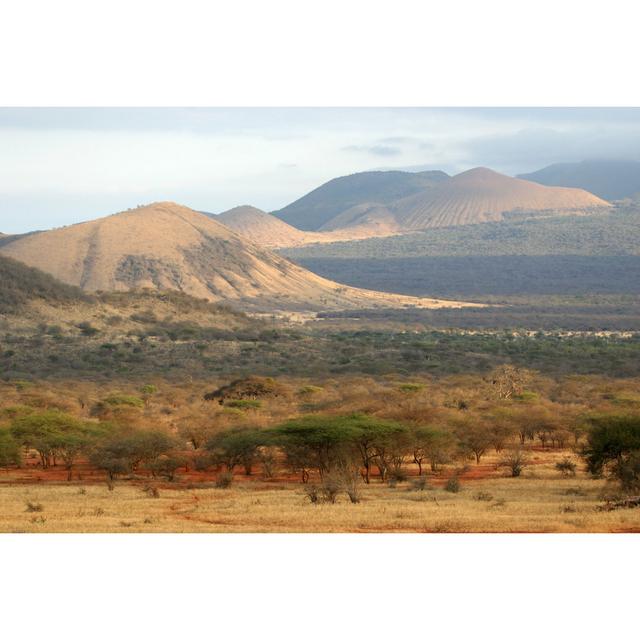 Gainey African Savanna by Impalastock - Wrapped Canvas Photograph Alpen Home Size: 51cm H x 76cm W x 3.8cm D on Productcaster.