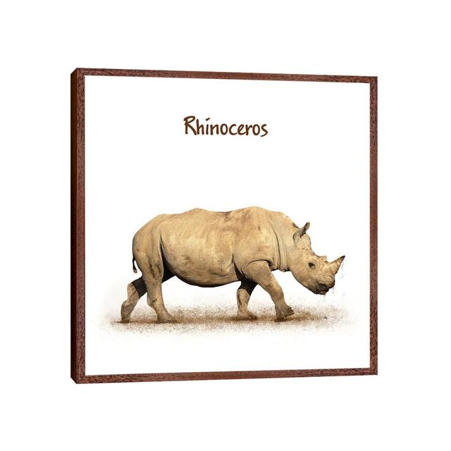 Young Rhinoceros Calf Walking Side On White by Susan Schmitz - Print on Canvas Union Rustic Size: 45.72cm H x 45.72cm W x 1.91cm D, Format: Brown Fram on Productcaster.