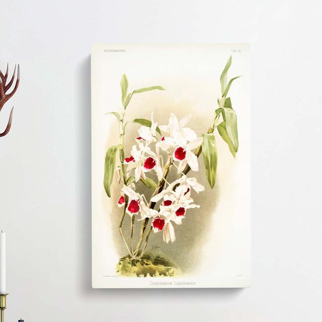 Magnolia Flowers Illustration Tab.50 by Frederick Sander - Wrapped Canvas Painting East Urban Home Size: 60cm H x 40cm W x 3cm D on Productcaster.