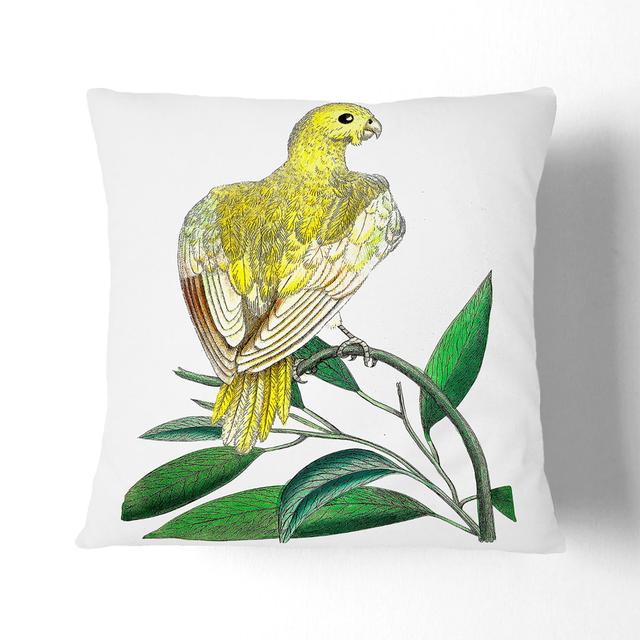 Parakeet by George Shaw Cushion with Filling East Urban Home Size: 55 x 55 cm, Backing Colour: Stone on Productcaster.