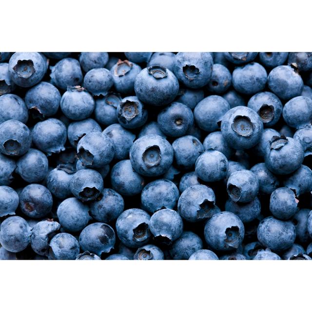 Blueberry Background by Klikk - Wrapped Canvas Photograph Ebern Designs Size: 20cm H x 30cm W x 3.8cm D on Productcaster.