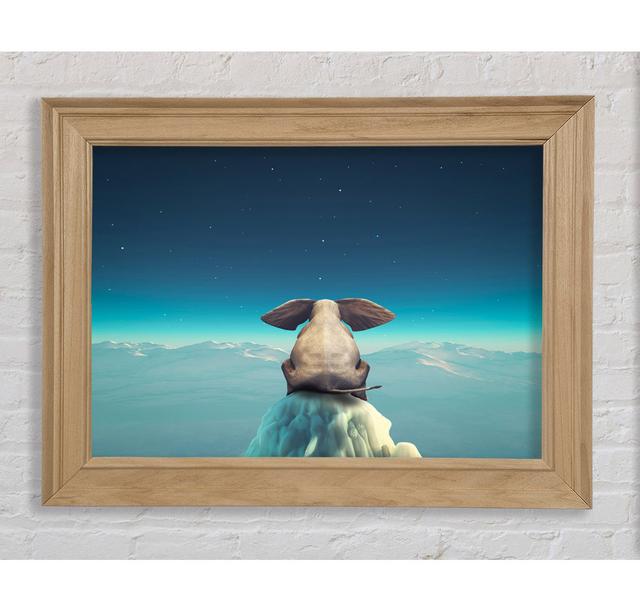 Single Picture Frame Art Prints Bright Star Size: 59.7cm H x 84.1cm W on Productcaster.