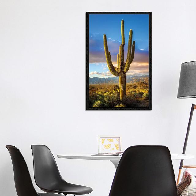 Sonnenuntergang Saguaro National Park Ost III von Susanne Kremer - Galerie-verpackte Leinwand Giclée auf Leinwand Gracie Oaks Format: Schwarzer Rahmen on Productcaster.