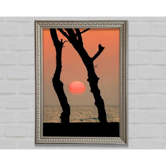 Red Sun Through The Ocean Trees Framed Print Highland Dunes Size: 42cm H x 29.7cm W x 3cm D on Productcaster.