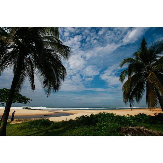 Coastal Scene From Liberia Highland Dunes Size: 81cm H x 122cm W x 3.8cm D on Productcaster.