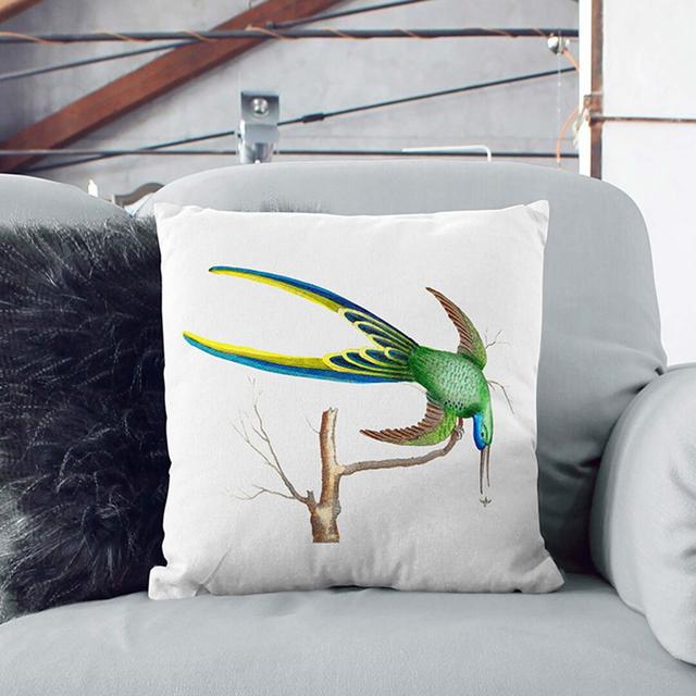 Fork-Tailed Hummingbird by George Shaw Cushion with Filling East Urban Home Backing Colour: Black, Size: 55cm H x 55cm W x 20cm D on Productcaster.