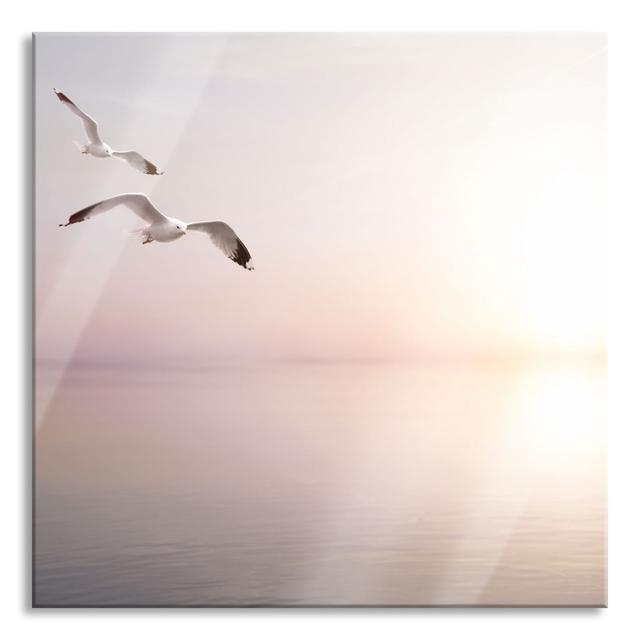 Seagulls by the Sea at Sunrise - Unframed Photograph on Glass Highland Dunes Size: 60cm H x 60cm W x 0.4cm D on Productcaster.