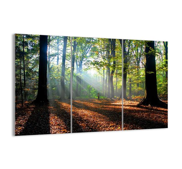 3 Piece Unframed Photograph Print Set on Glass Union Rustic Size: 110cm H x 165cm W x 1.8cm D on Productcaster.