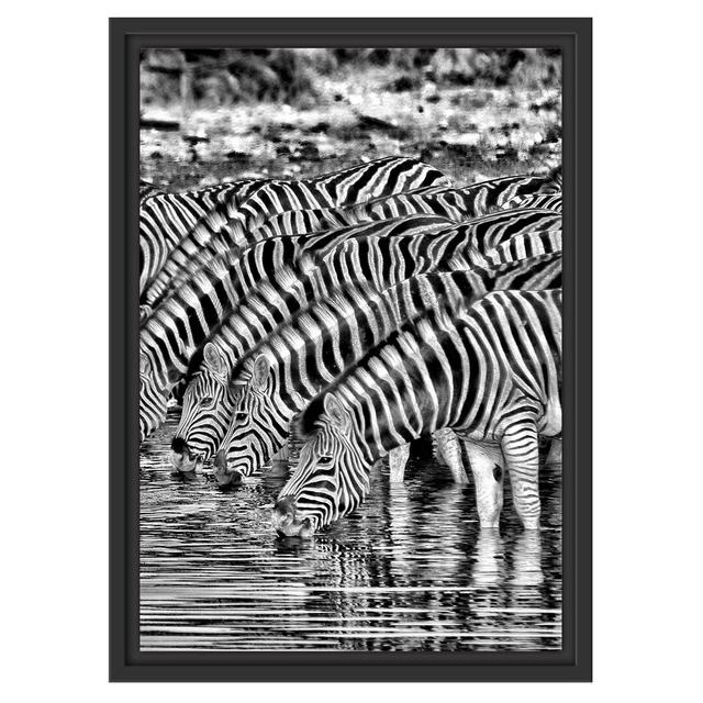 Gerahmtes Wandbild Safari mit Zebras in Afrika East Urban Home Größe: 55 cm H x 40 cm B on Productcaster.