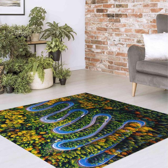 Germo Green Area Rug East Urban Home Rug Size: Square 120cm on Productcaster.