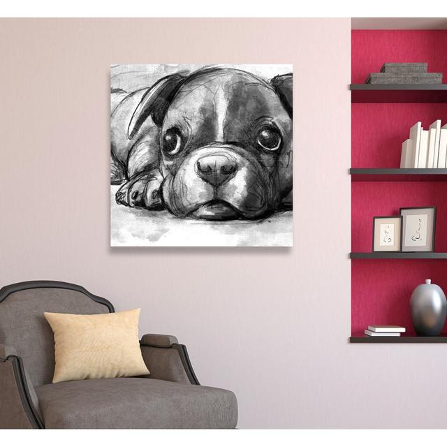 Boston Terrier by Hatcher and Ethan Graphic Art Wrapped on Canvas Oliver Gal Size: 110cm H X 110cm W on Productcaster.