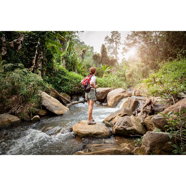 Woman Hiking At Rainforest River by FredFroese - No Frame Art Prints on Canvas Alpen Home Size: 30cm H x 46cm W on Productcaster.