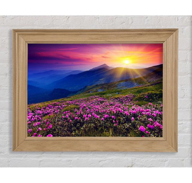 Sunrays Over The Pink Flower Mountain - Print Union Rustic Format: Natural Framed Paper, Size: 59.7cm H x 84.1cm W x 8cm D on Productcaster.