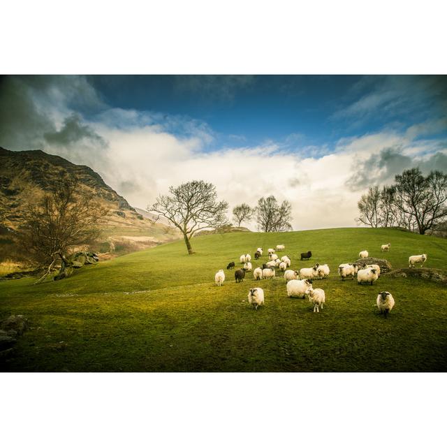 Irish Mountain Landscape by Dace Znotina - Wrapped Canvas Photograph 17 Stories Size: 20cm H x 30cm W on Productcaster.