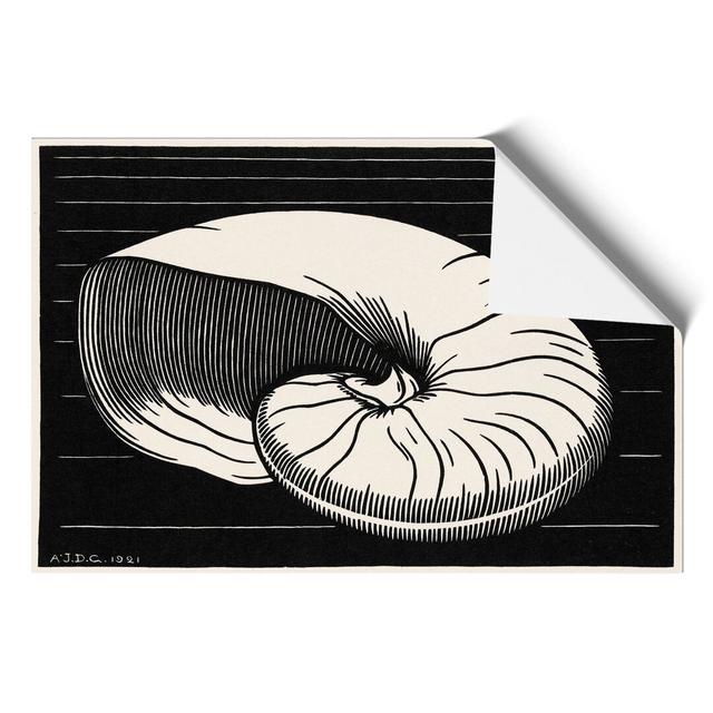 Shell by Julie De Graag - Unframed Graphic Art East Urban Home Size: 42cm H x 59cm W x 0.1cm D on Productcaster.