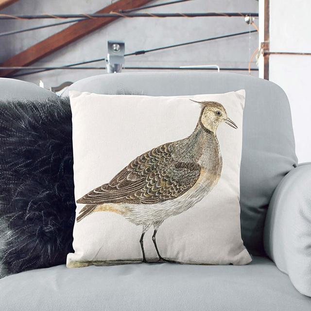 Lapwing by Johan Teyler Cushion with Filling East Urban Home Size: 40cm H x 40cm W x 15cm D, Backing Colour: Stone on Productcaster.