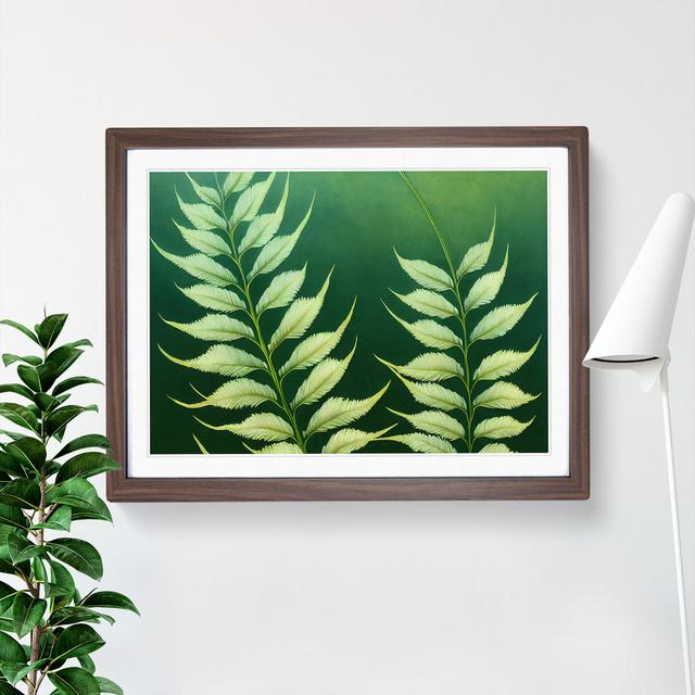 Enviable Fern Leaf - Picture Frame Graphic Art 17 Stories Frame Colour: Walnut, Size: 34cm H x 46cm W on Productcaster.