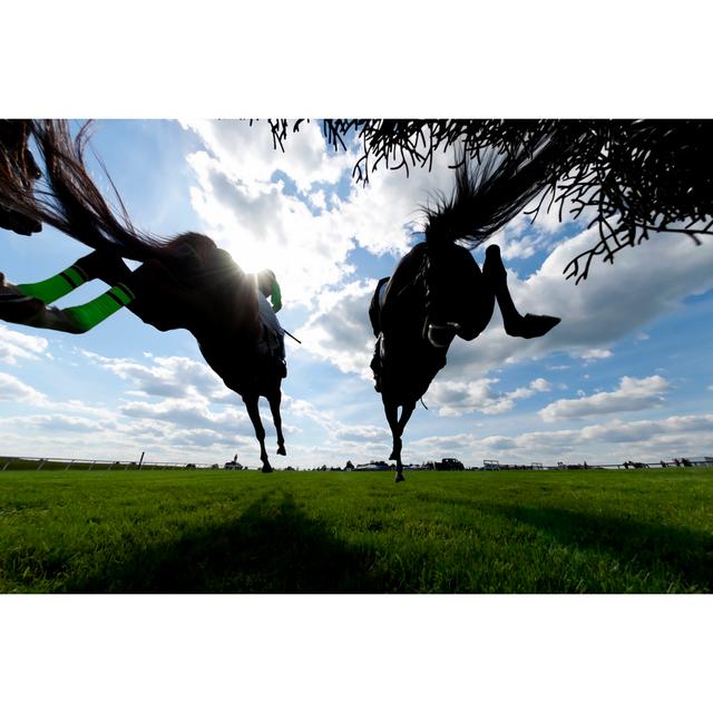 Low Angle View Horse by Cmannphoto - No Frame Print on Canvas 17 Stories Size: 61cm H x 91cm W on Productcaster.