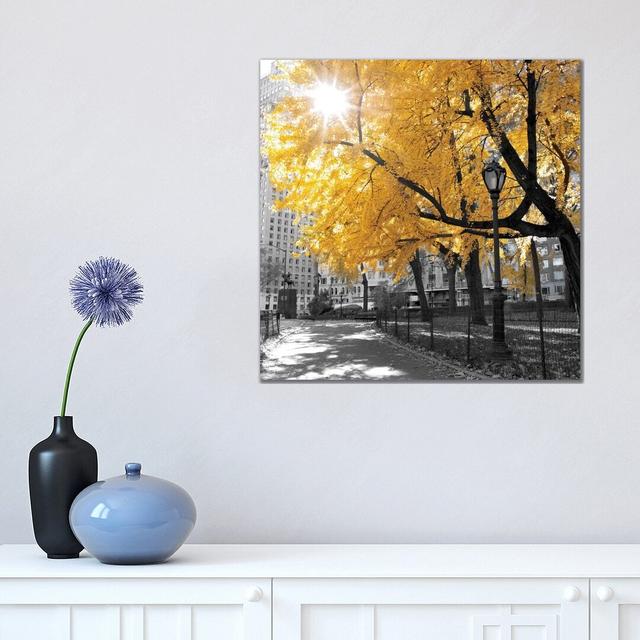 Park Pretty by Amanda J. Brooks - Print on Canvas Wade Logan Frame Option: No Frame, Size: 45.72cm H x 45.72cm W x 1.91cm D on Productcaster.