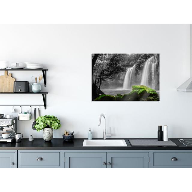 Waterfall In The Jungle - No Frame Print on Glass Union Rustic Size: 60cm H x 80cm W x 0.4cm D on Productcaster.