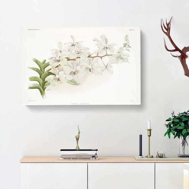 Magnolia Flowers Illustration Tab.57 by Frederick Sander - Wrapped Canvas Art Print East Urban Home Size: 50cm H x 76cm W x 3cm D on Productcaster.