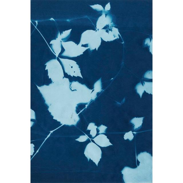 Cyanotype No.11 by Chariklia Zarris - Wrapped Canvas Graphic Art Rosalind Wheeler Size: 122cm H x 81cm W on Productcaster.