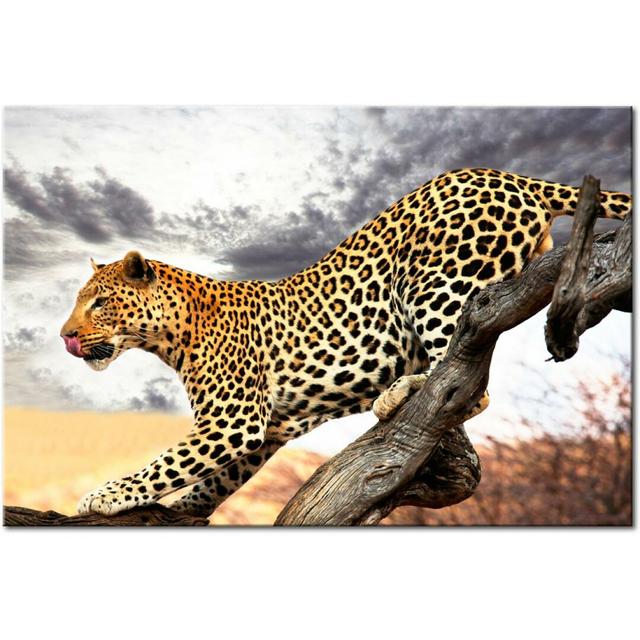 Predatory Stare - Wrapped Canvas Print East Urban Home Size: 90 cm x 60 cm on Productcaster.