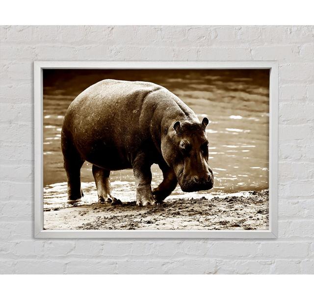 Hippopotamus Bath - Print Bright Star Size: 100cm H x 141.4cm W x 3.3cm D on Productcaster.