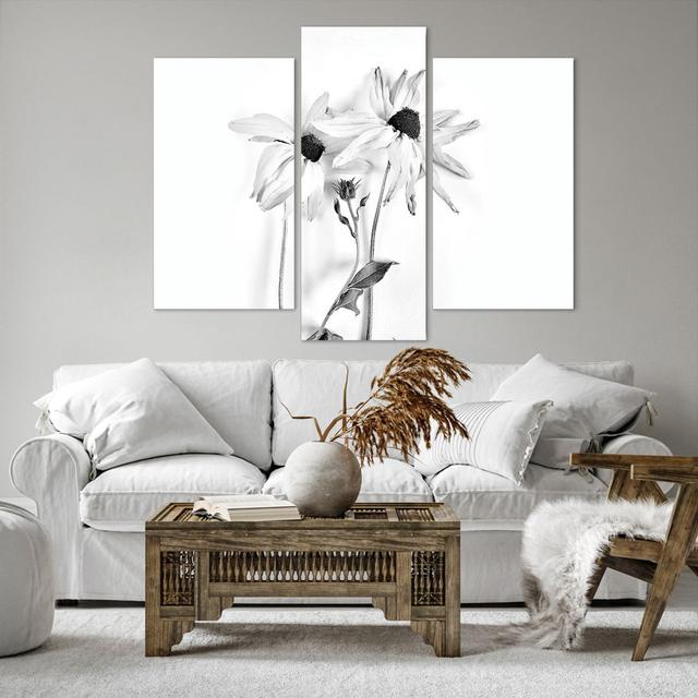 Withered Flowers Monochrome - 3 Piece Wrapped Canvas Photograph Ebern Designs Size: 100cm H x 130cm W x 1.8cm D on Productcaster.