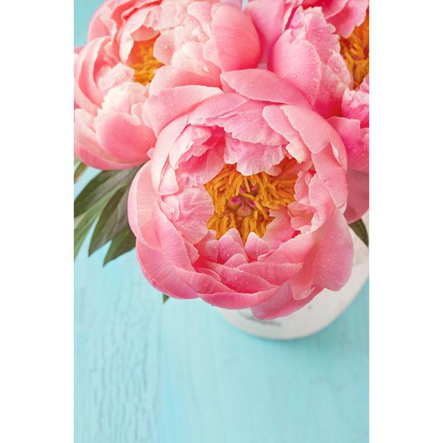 Peony Flowers - Wrapped Canvas Photograph 17 Stories Size: 30cm H x 20cm W on Productcaster.