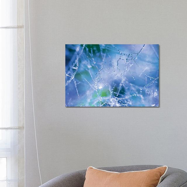 Spider Web by Mateusz Piesiak - Wrapped Canvas Gallery-Wrapped Canvas Giclée 17 Stories Size: 45.72cm H x 66.04cm W x 3.81cm D on Productcaster.