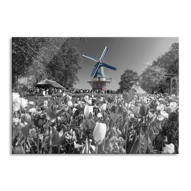 Dutch Sea of Tulips in front of a Windmill - Unframed Photograph on Glass Brayden Studio Size: 70cm H x 100cm W x 0.4cm D on Productcaster.