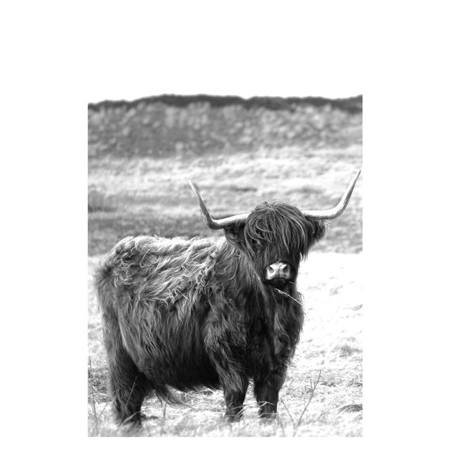 Shaggy Cow - Wrapped Canvas Photograph Print August Grove Size: 76cm H x 51cm W x 3.8cm D on Productcaster.