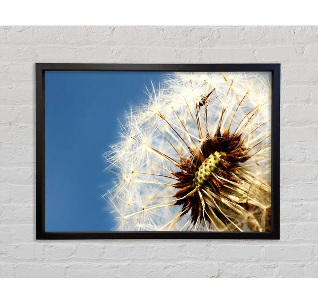 Dandelion Skies - Print Ebern Designs Size: 59.7cm H x 84.1cm W x 3.3cm D on Productcaster.