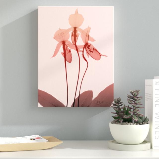 Furiosa Orchid - Wrapped Canvas Graphic Art Print East Urban Home Size: 122 cm H x 91 cm W on Productcaster.