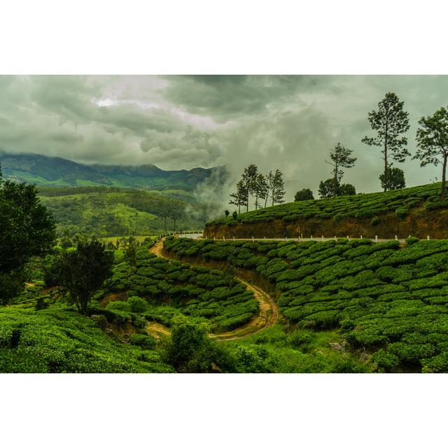 Monsoon In Indian Tea Plantation by Joseph White - Wrapped Canvas Print Alpen Home Size: 30cm H x 46cm W on Productcaster.