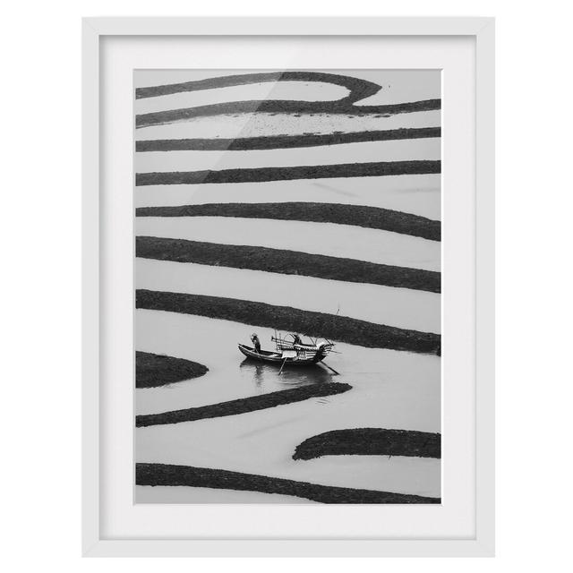 Beauty of the Simple Life Framed Photographic Print East Urban Home Frame Options: Matt white, Size: 55 cm H x 40 cm W on Productcaster.