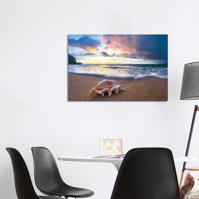 Shell Sea Drops by Sean Davey - Gallery-Wrapped Canvas Giclée on Canvas Beachcrest Home Format: Wrapped Canvas, Size: 66.04cm H x 101.6cm W on Productcaster.