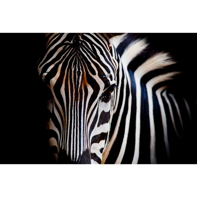 Burchell's Zebra - Wrapped Canvas Print Latitude Run Size: 51cm H x 76cm W x 3.8cm D on Productcaster.