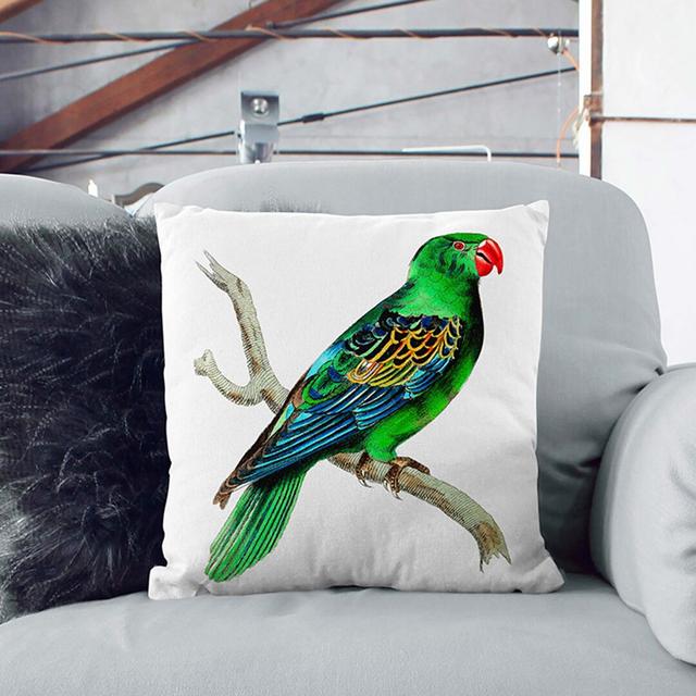 Great-Billed Parrot by George Shaw Cushion with Filling East Urban Home Size: 55cm H x 55cm W x 20cm D, Backing Colour: Stone on Productcaster.